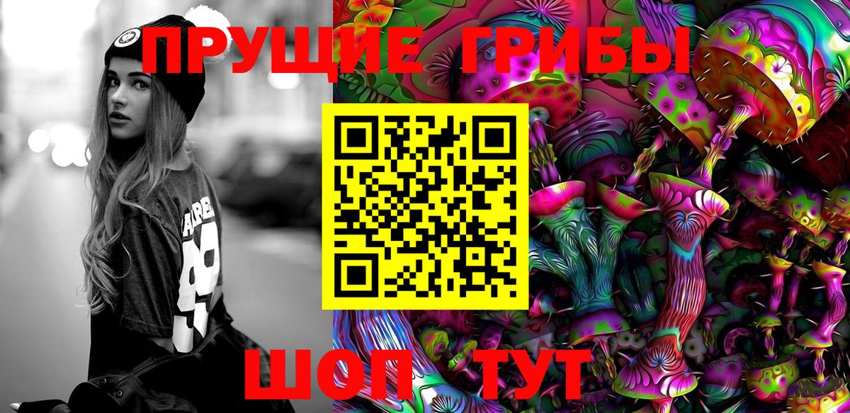 Галлюциногенные грибы мицелий  Вход с VPN  Белореченск  Галлюциногенные грибы Psilocybine cubensis 